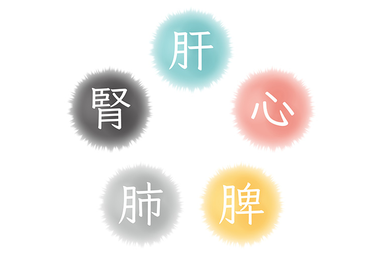 東洋医学の五行説のイラスト